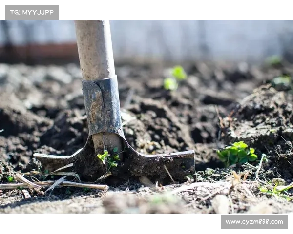 科学实施吃土计划的步骤与技巧解析让你轻松应对土壤补充的正确方法