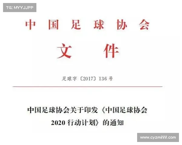建业足球俱乐部的组织性质及其在中国足球发展中的作用分析