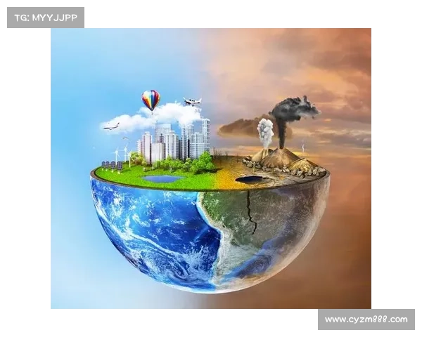 洞察澳洲杯赛事水平表现差异的五大关键影响因素深度全景解析研究