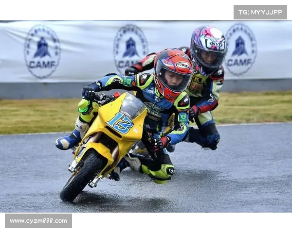 影响东盟场地脚车比赛结果的多重因素分析与探讨