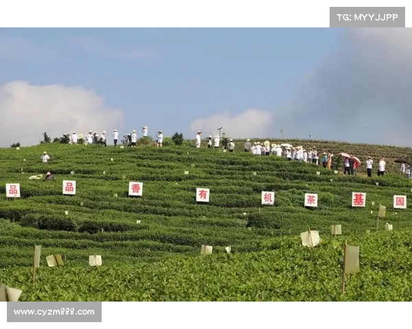 戴资颖携手设计环保杯参与慈善义卖 传递绿色理念助力公益事业