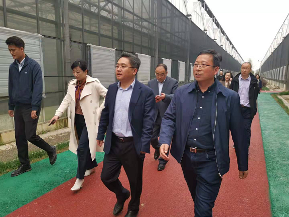 市环球360官网集团董事长王叙宇一行赴彭泽县调查调研